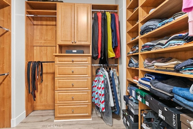 spacious closet with light wood finished floors