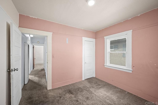 interior space with a closet and carpet floors