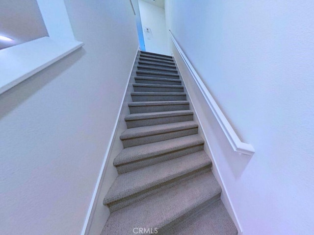 stairway featuring carpet