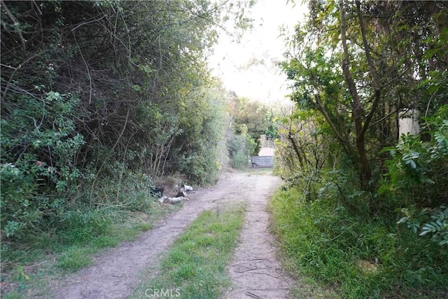 view of road with driveway