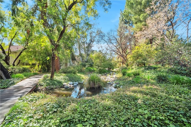 7050 Shoup Ave Unit 175, Canoga Park, CA 91303 - photo 30