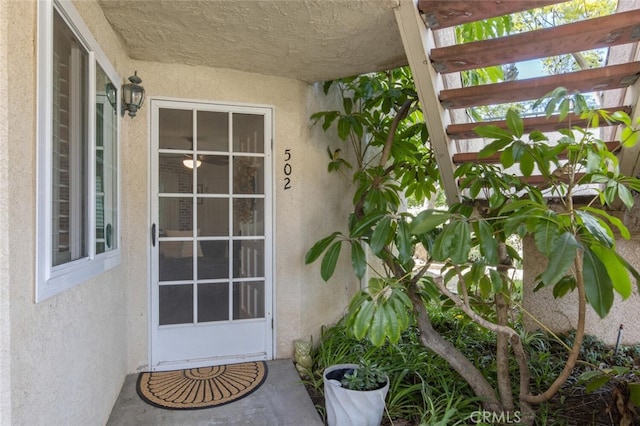 entrance to property featuring a pergola and stucco siding