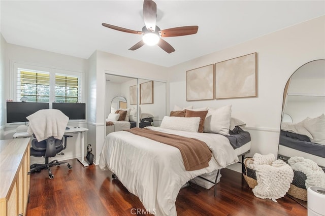 bedroom featuring a closet, ceiling fan, and dark wood-style flooring