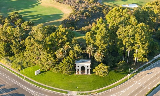 bird's eye view