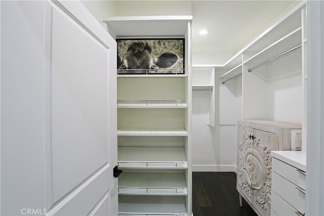 spacious closet with dark wood-style flooring