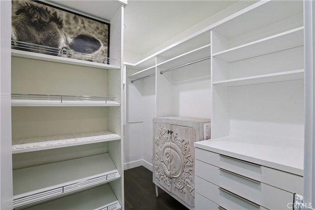 spacious closet featuring dark wood finished floors