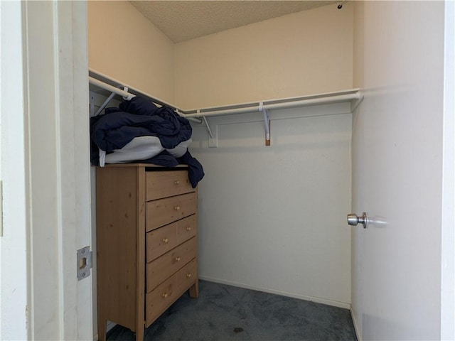 spacious closet with carpet floors