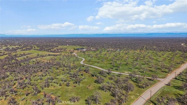 14825 Cannon Rd, Red Bluff, CA 96080 - photo 8