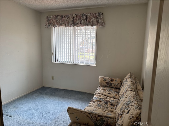 sitting room featuring a textured ceiling and carpet flooring