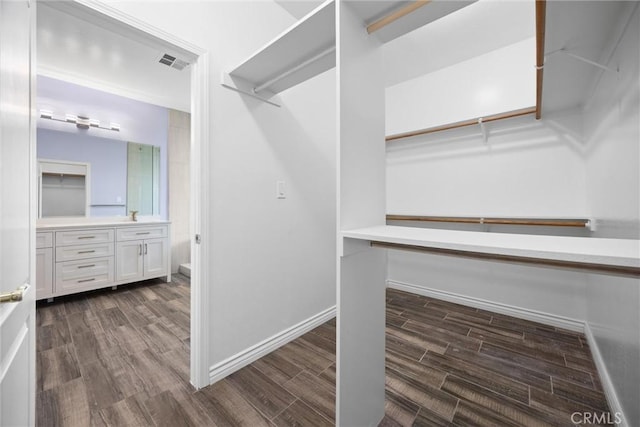 walk in closet featuring dark wood-style floors and visible vents