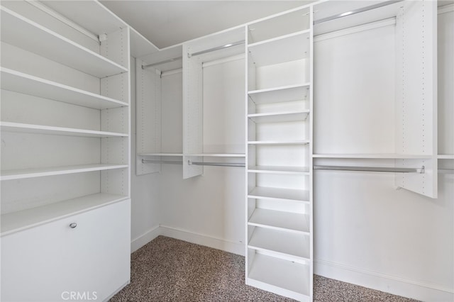 walk in closet featuring carpet flooring