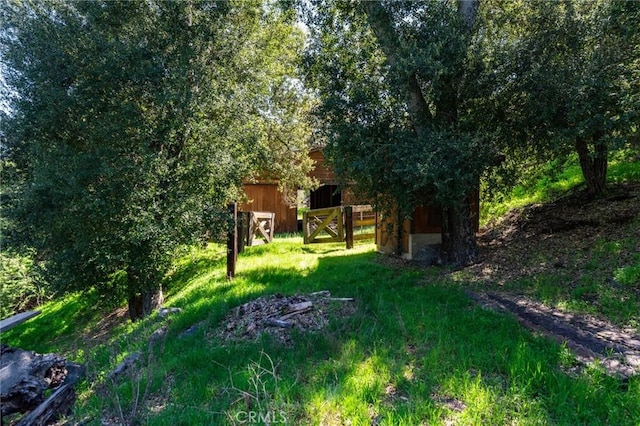 view of yard featuring an outdoor structure