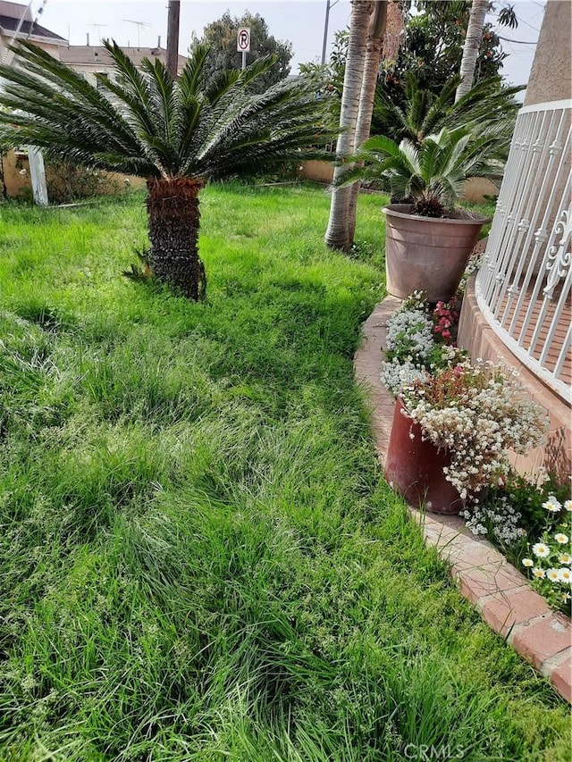 10701 Doty Ave, Inglewood, CA 90303 - view of yard