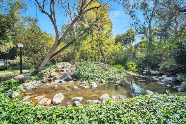 view of local wilderness