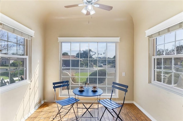 dining room with a ceiling fan, wood finished floors, and a wealth of natural light