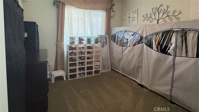 bedroom featuring carpet flooring