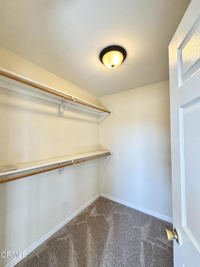 spacious closet with dark colored carpet