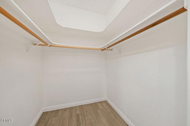 spacious closet with wood finished floors