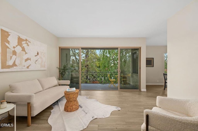 living room with baseboards and wood finished floors