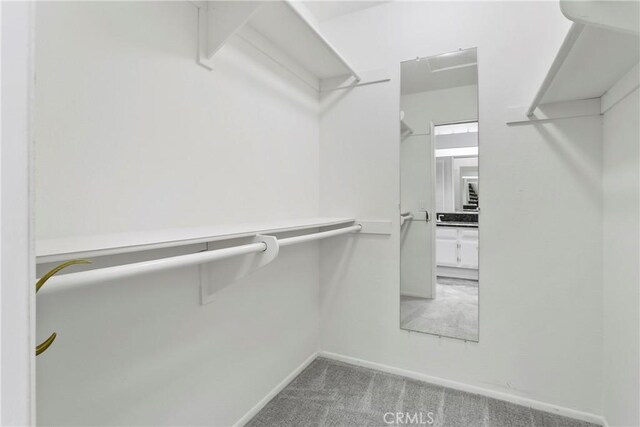 8933 Amador Cir Unit 1316E, Huntington Beach, CA 92646 - walk in closet with carpet floors
