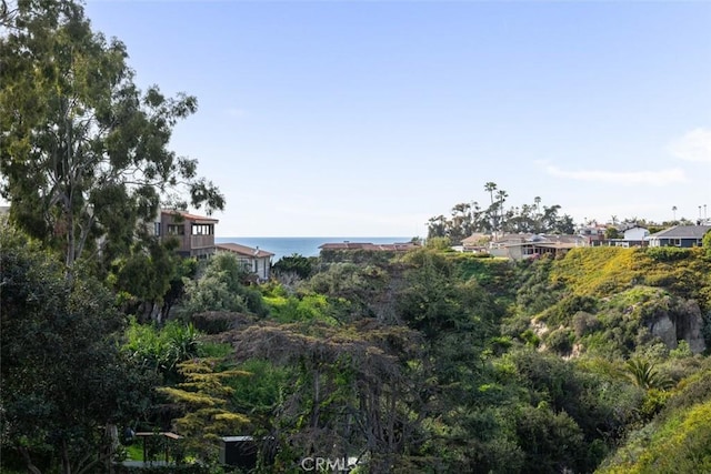 236 Avenida Montalvo, San Clemente, CA 92672 - view of mountain background with a large body of water