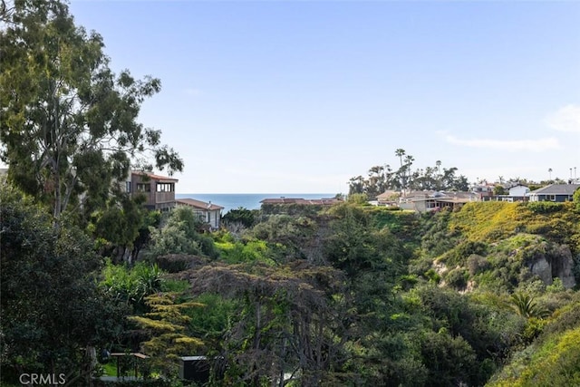 236 Avenida Montalvo, San Clemente, CA 92672 - photo 12
