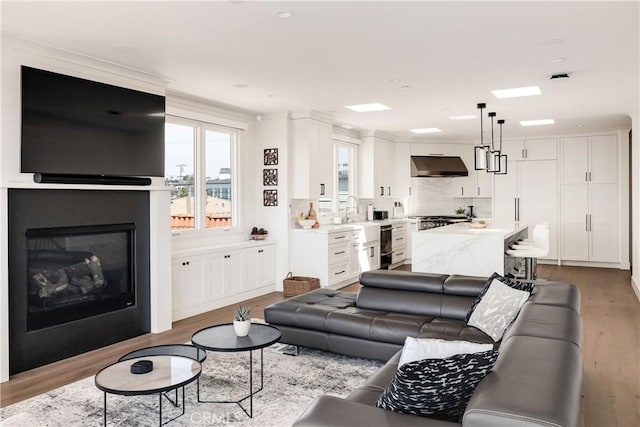 living room with a glass covered fireplace and wood finished floors