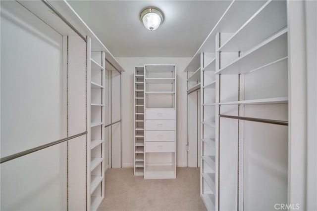 spacious closet featuring carpet flooring