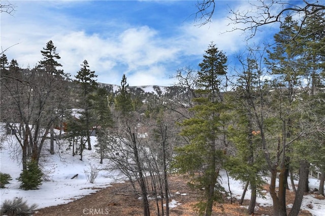 property view of mountains with a forest view