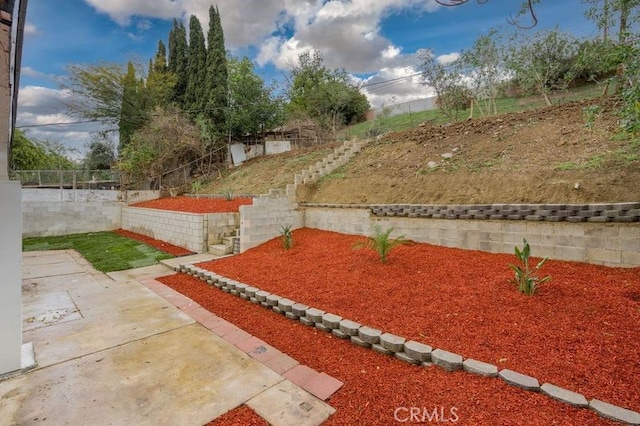 view of yard featuring a patio area and fence