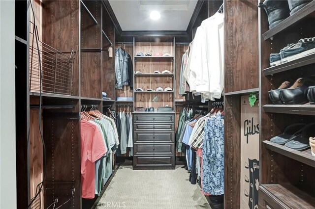 view of walk in closet