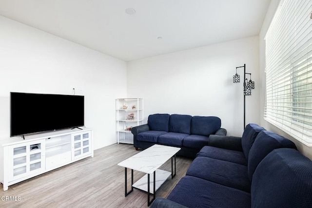 living room with wood finished floors