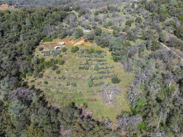 5067 Lakeview Rd, Mariposa, CA 95338 - photo 10