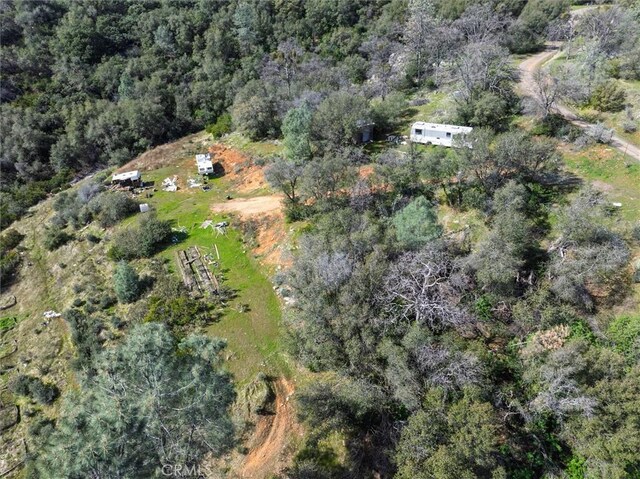 5067 Lakeview Rd, Mariposa, CA 95338 - photo 12