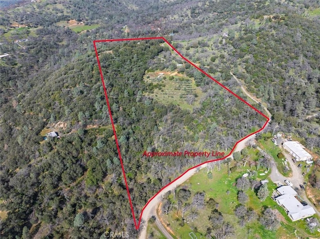 5067 Lakeview Rd, Mariposa, CA 95338 - photo 1
