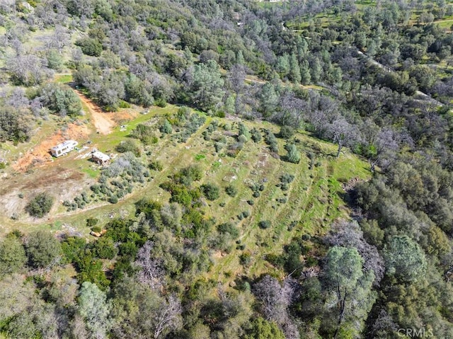 5067 Lakeview Rd, Mariposa, CA 95338 - photo 11
