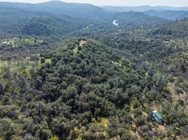 5067 Lakeview Rd, Mariposa, CA 95338 - photo 23