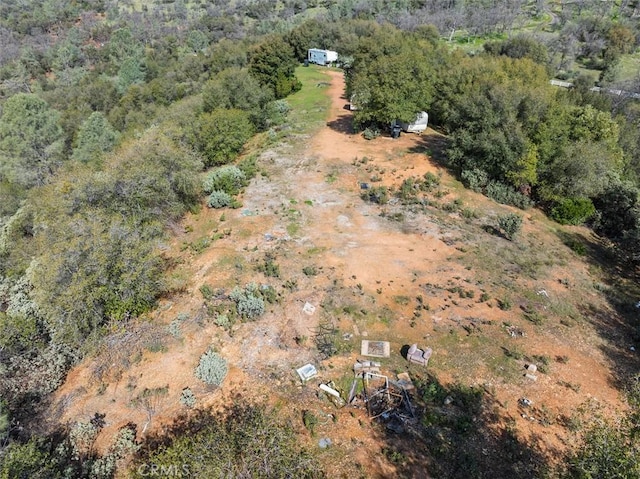 5067 Lakeview Rd, Mariposa, CA 95338 - photo 20