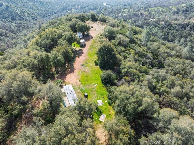 5067 Lakeview Rd, Mariposa, CA 95338 - photo 14