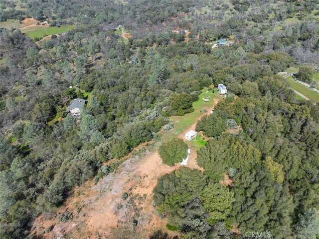 5067 Lakeview Rd, Mariposa, CA 95338 - photo 13