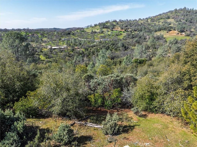 5067 Lakeview Rd, Mariposa, CA 95338 - photo 25