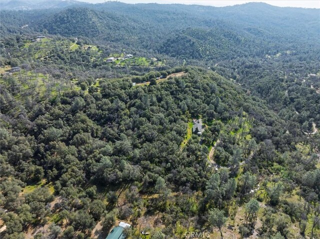 5067 Lakeview Rd, Mariposa, CA 95338 - photo 22