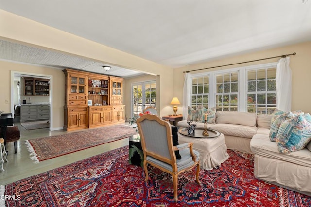 living room featuring french doors and wood finished floors