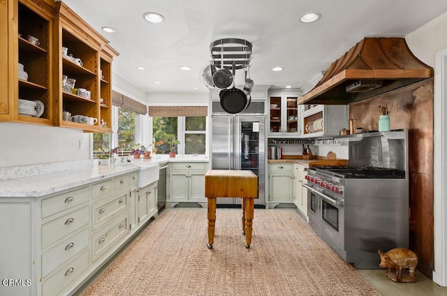 kitchen featuring open shelves, high end appliances, island exhaust hood, and a sink