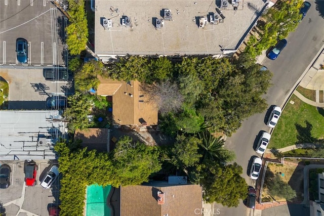 aerial view
