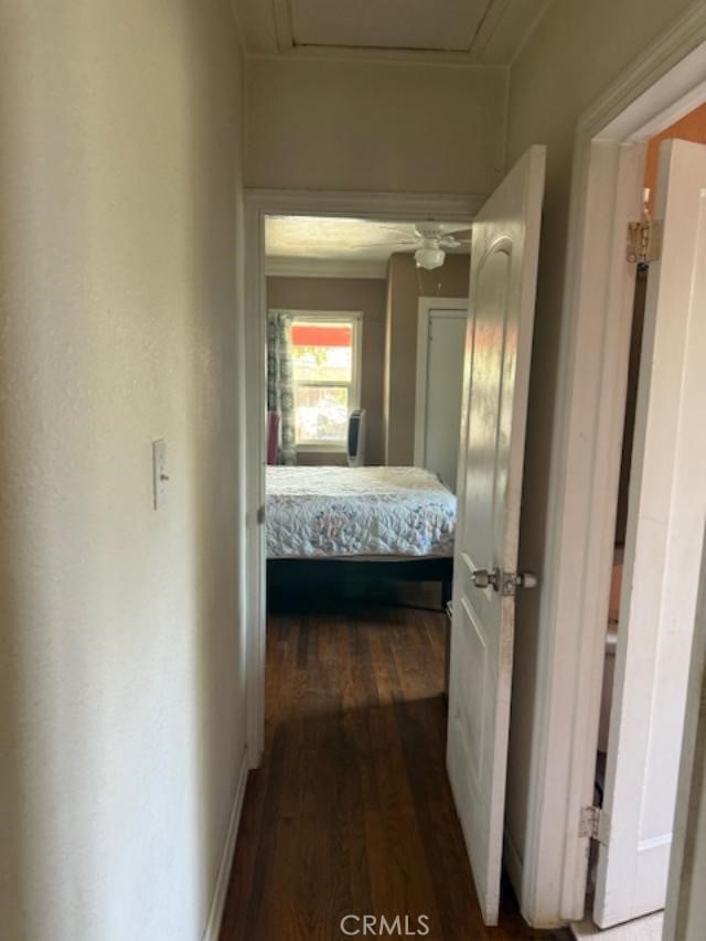 corridor with dark wood-type flooring