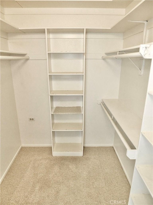 walk in closet with carpet flooring