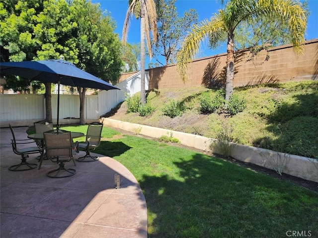 view of yard featuring a patio and a fenced backyard