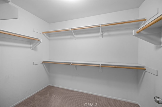 spacious closet with carpet flooring