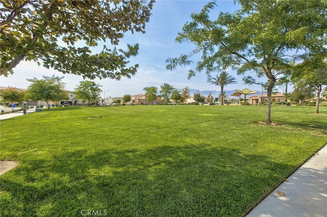 view of yard